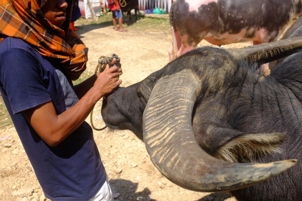 ‘funeral season’