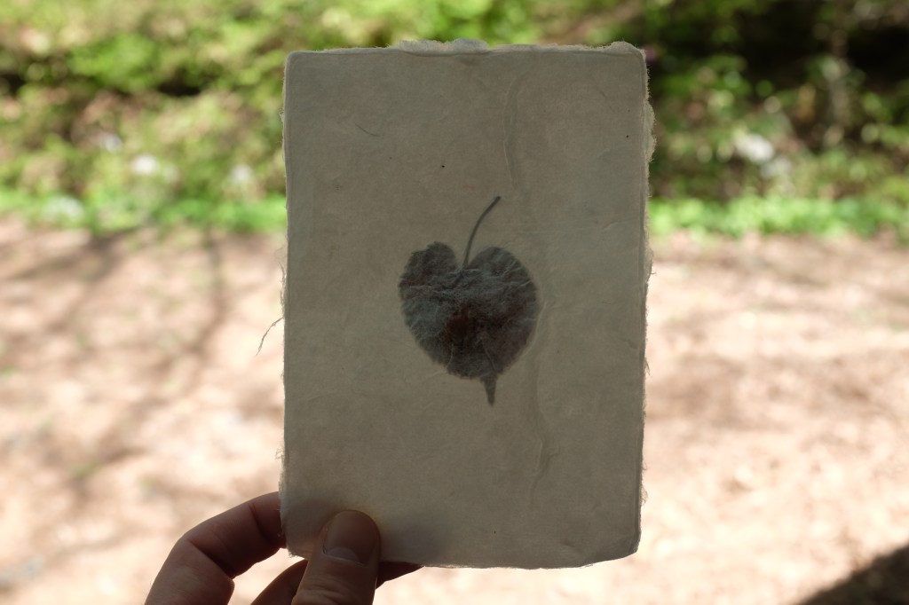 ‘window shopping’